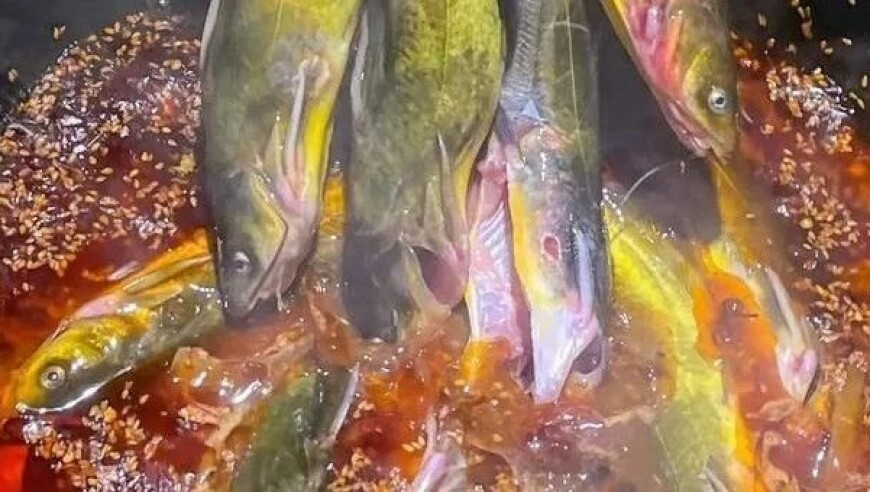 薛凯琪发长文,澳门金钥匙二肖中特免费,前瞻性战略落实探讨_扩展版V10.7