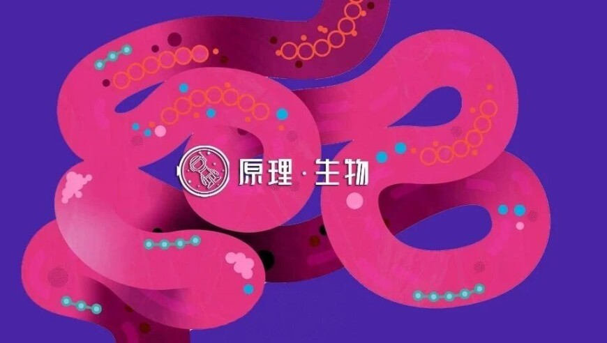 尊界汽车冲击超豪华市场,2025今晚香港开特马37期,最佳精选解释落实_游戏版V4.54