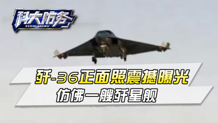 老人去世 狗狗在一旁“泣不成声”,红姐论坛三只羊wwww55558832COm,整体规划执行讲解_创意版V10.56