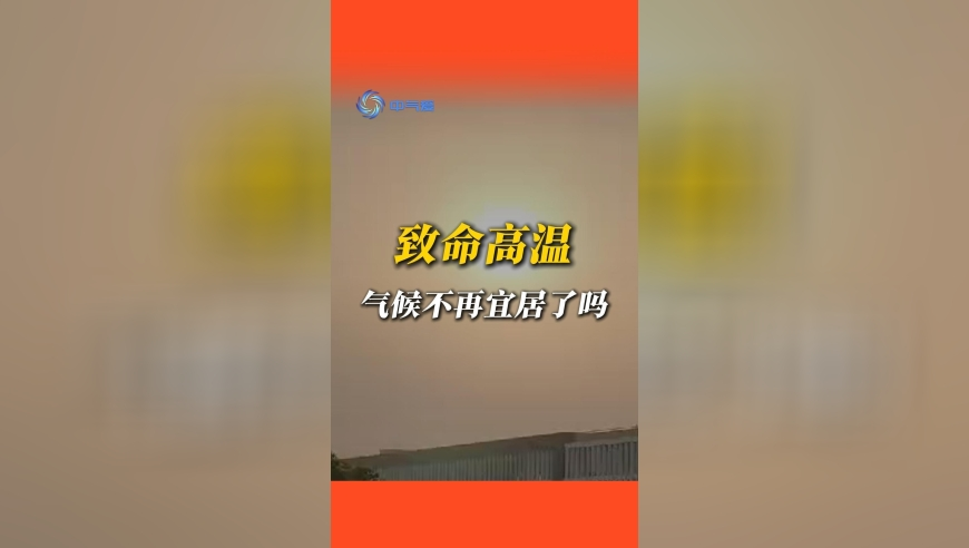 动物保护协会辟谣让潘宏拿100万,澳门网站资料免费,经济性执行方案剖析_粉丝版V5.99